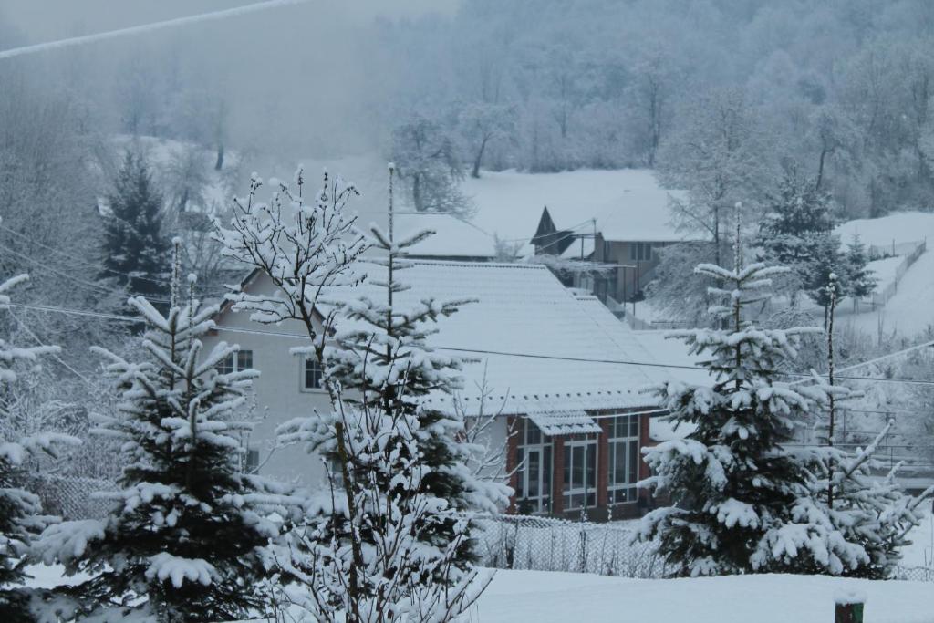 a house covered in snow with trees at Holiday home Usadba Novoselitsa in Novoselitsa