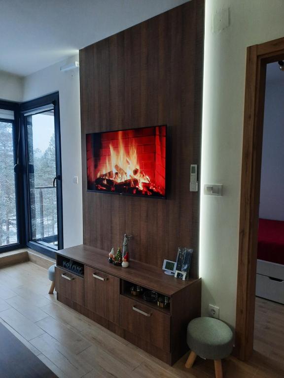 TV a/nebo společenská místnost v ubytování APARTMAN GREEN HILLS 20