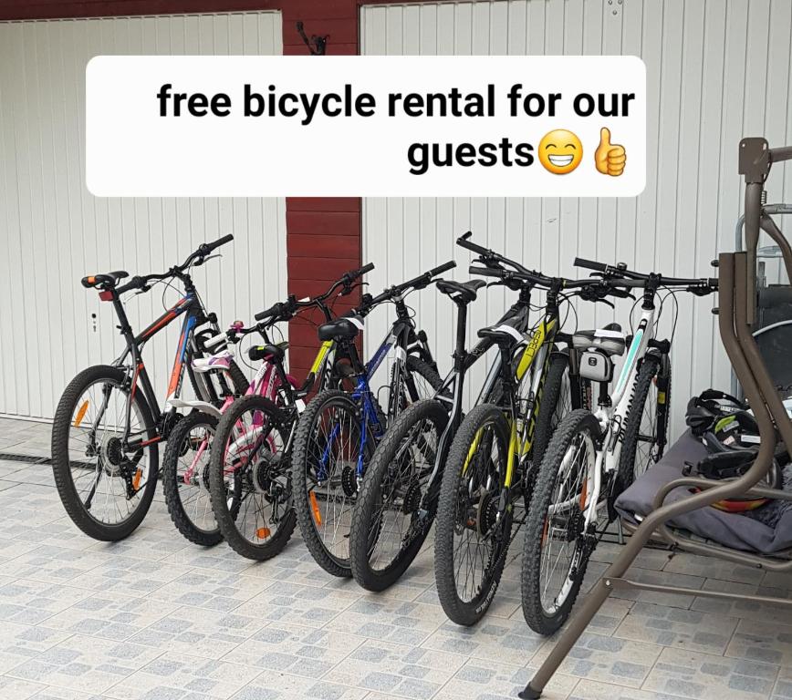 Jízda na kole v ubytování Zajček Apartma nebo okolí