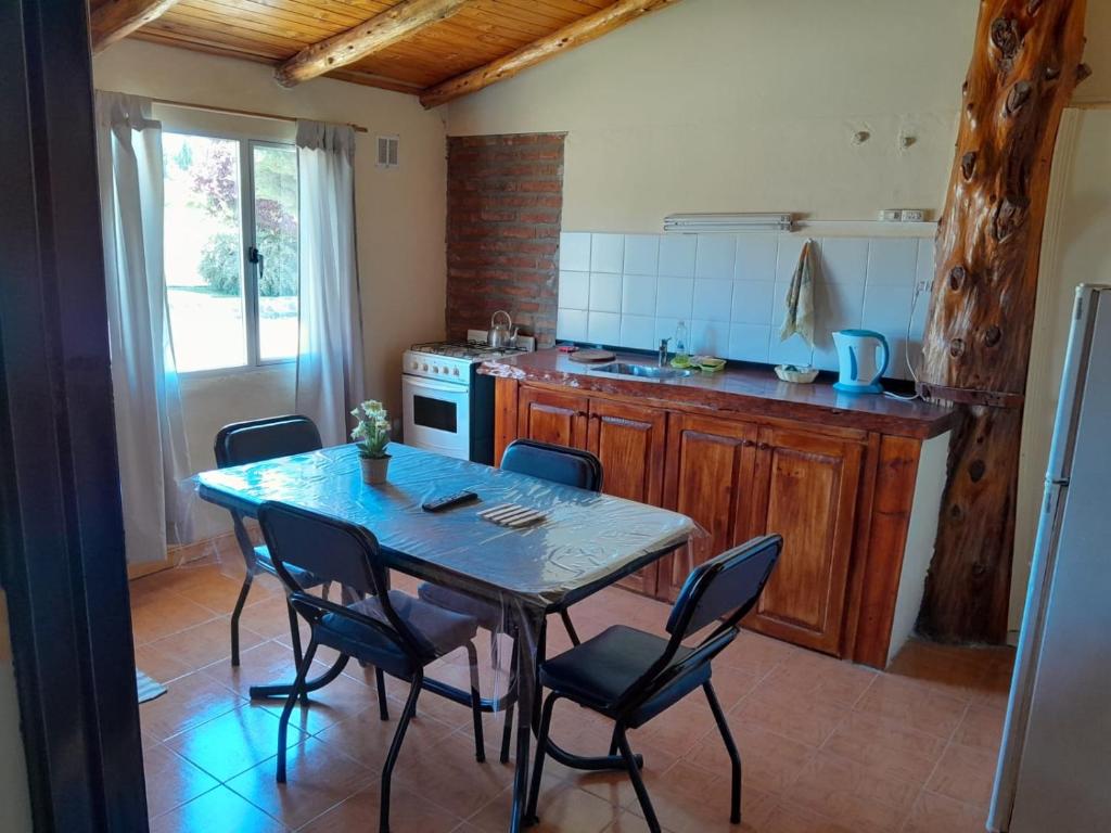 a kitchen with a table and chairs in a kitchen at DEPARTAMENTOS FORTIN in Trevelin