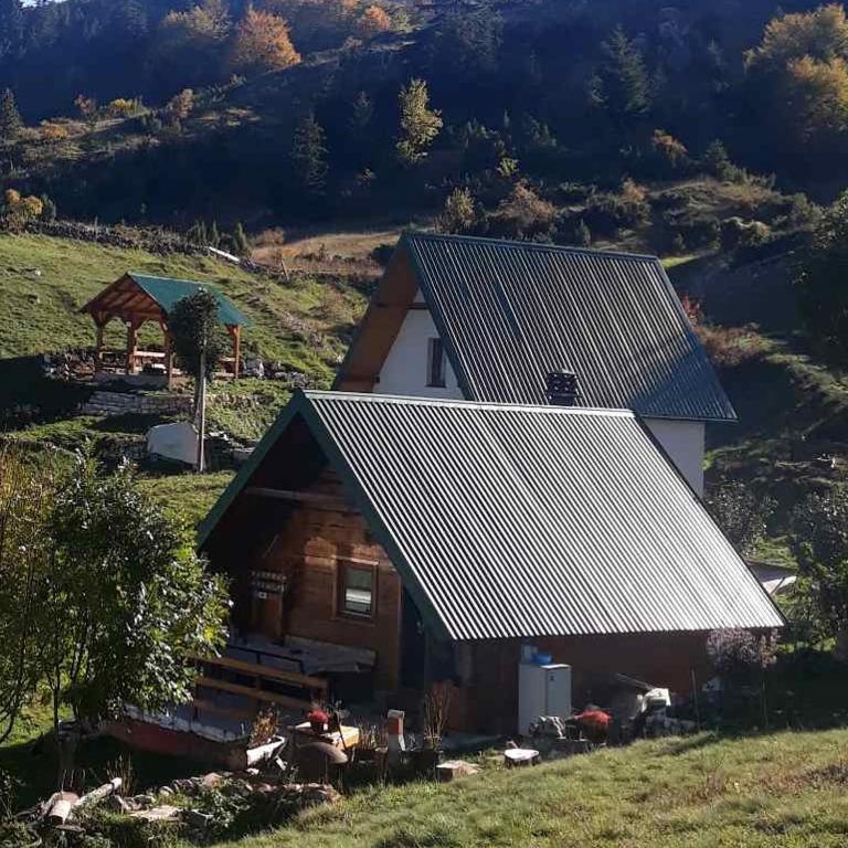 a house with a metal roof on a hill at Household Ušćumlić - Oaza mira in Plužine