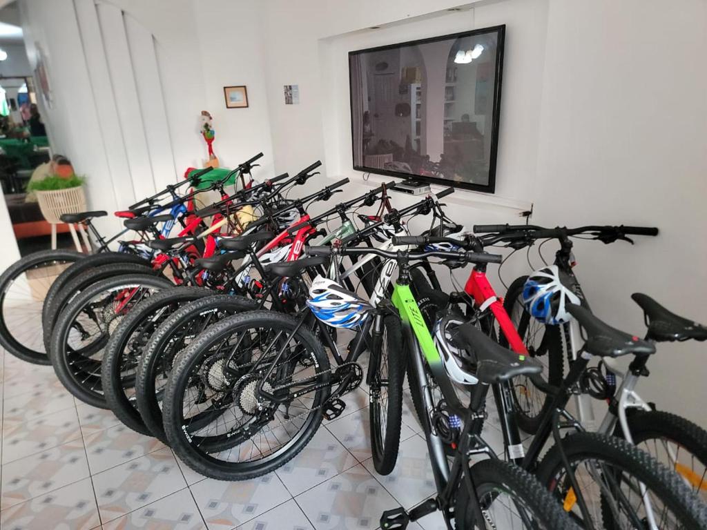 Jízda na kole v ubytování Hostal Gosén nebo okolí