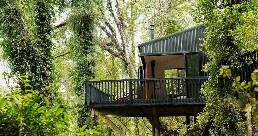 Te Aka Treehouse, Nelson Creek (updated prices 2024)