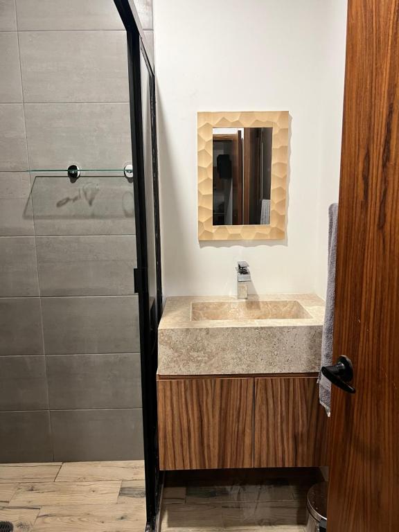 a bathroom with a sink and a mirror at Torre Riviera veracruzana in Guadalupe