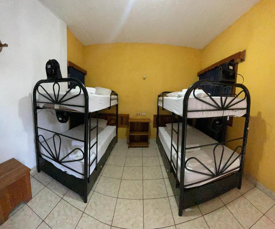 Natz Hotel - Letto A Castello In Dormitorio Femminile