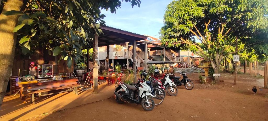 Fotografie z fotogalerie ubytování Tree Trails Homestay & Offers Jungle Trekk-Scooter For Rental v destinaci Banlung