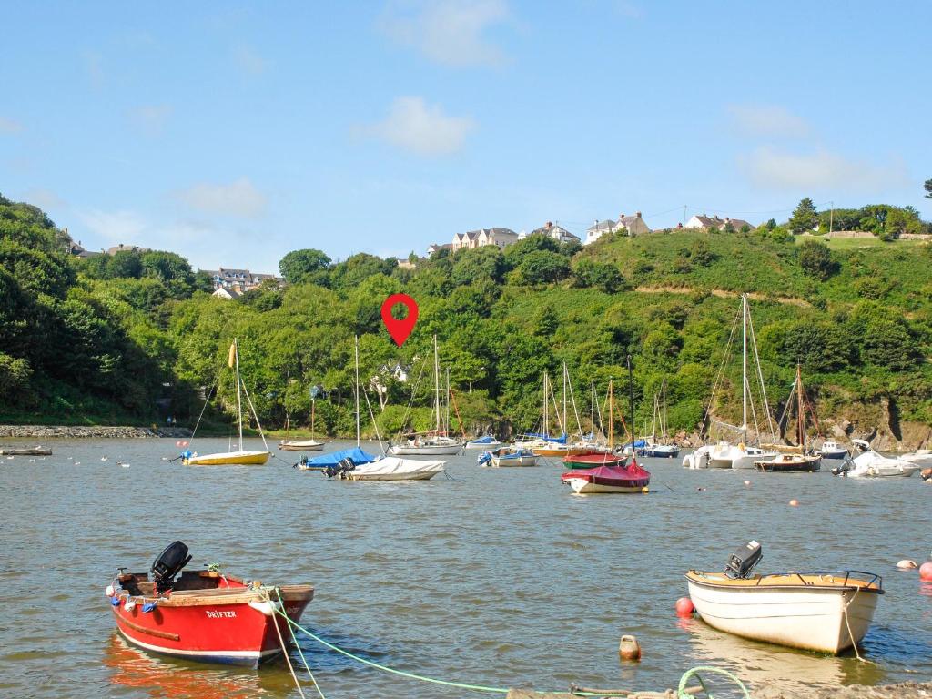 a bunch of boats in a body of water at Carreg Yr Eos - Cottage in Fishguard