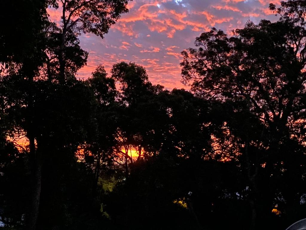 a sunset with trees in the foreground at Tree Lights Stay - Relaxing, Private Guest Suite in Perth