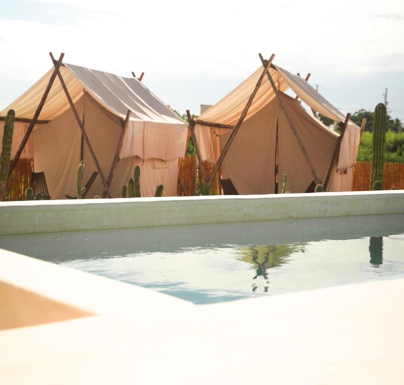 a group of tents with water in a pool at Baja Temple in Todos Santos