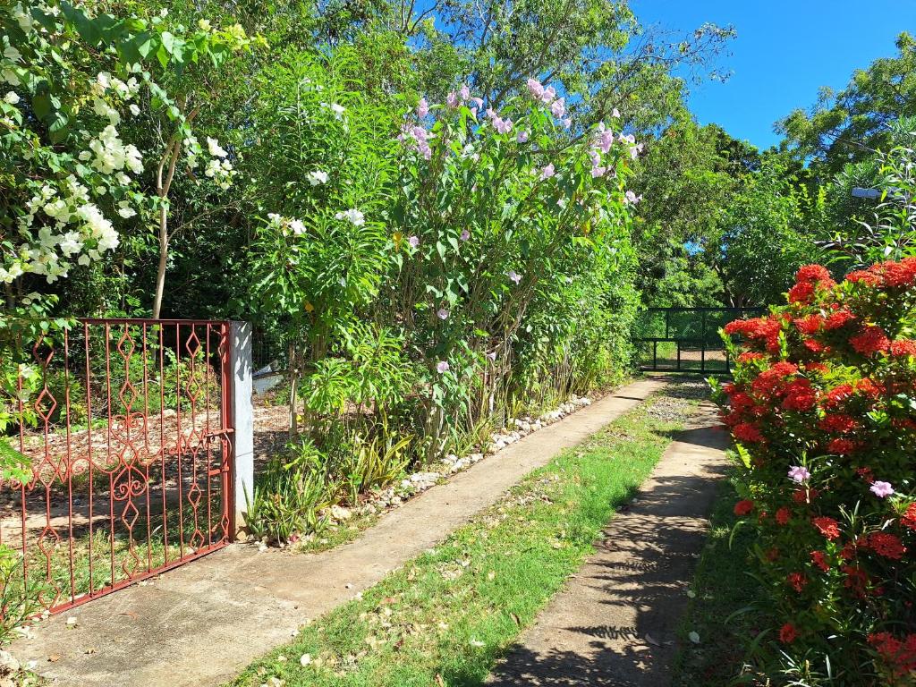 un jardín con una puerta y flores coloridas en Genevieve Guest House, en Maria