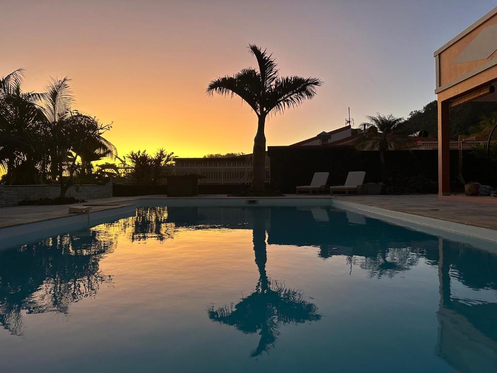 una piscina con una palmera y la puesta de sol en Suite by Villa Serena - Manapany les bains en Saint-Joseph