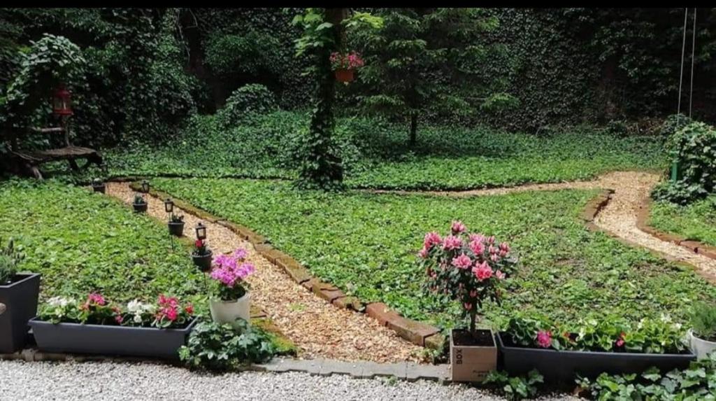 un jardin avec des fleurs en pots et un banc dans l'établissement City centar apartman with garden, à Zagreb
