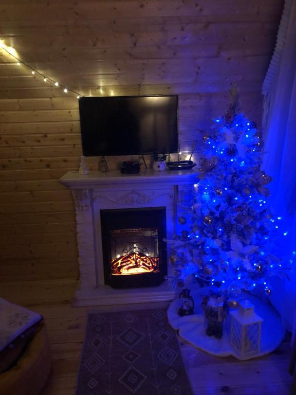 TV a/nebo společenská místnost v ubytování Cottage Nishi