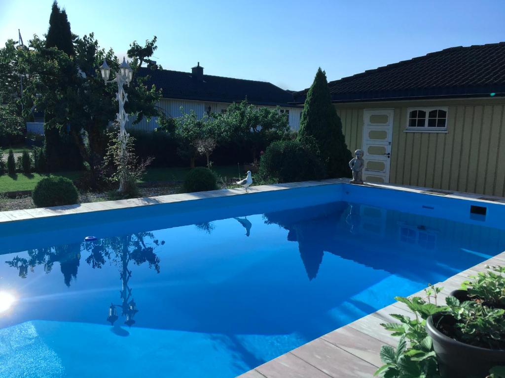 una piscina de agua azul en un patio en Just Like Home Bed & Spa Porsgrunn, en Porsgrunn