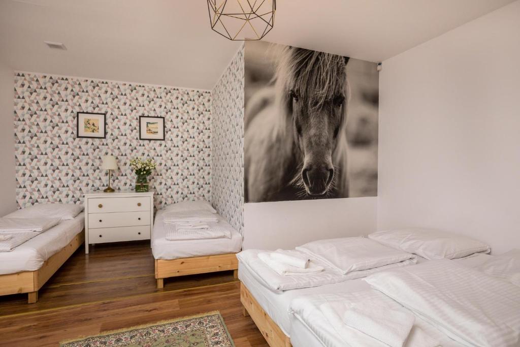 Pensjonat Iskra - Apartamento De Una Habitación