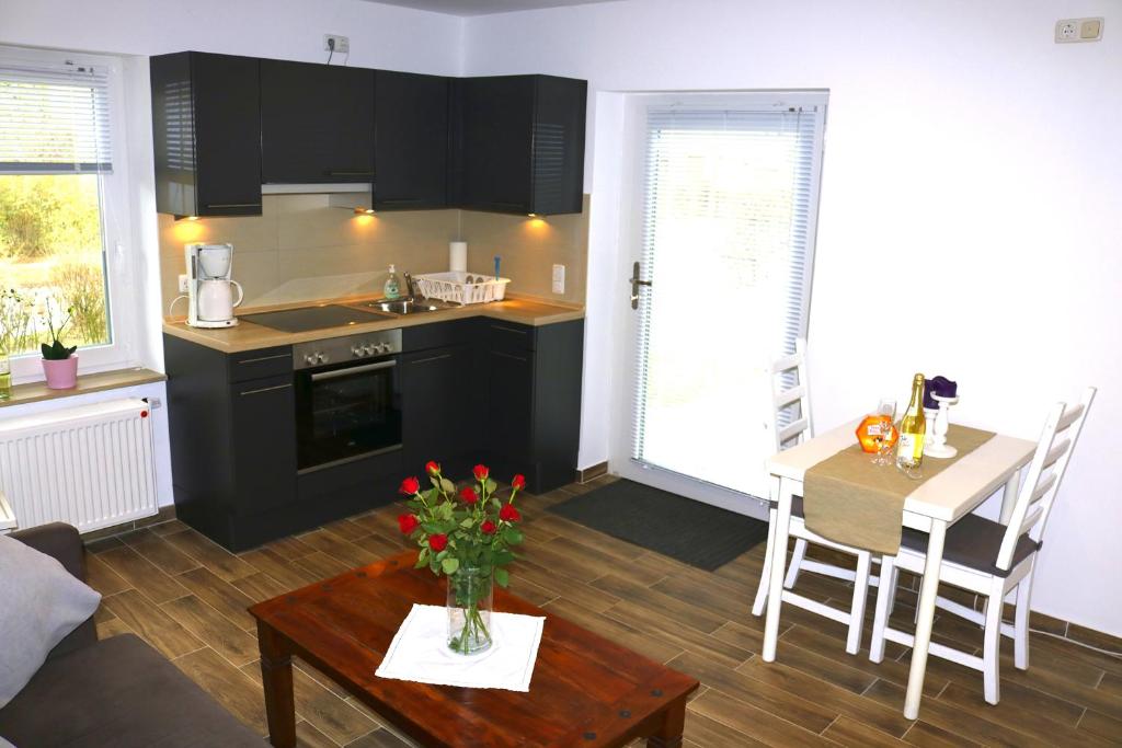 a kitchen and living room with a table and a kitchen and a dining room at Ferienwohnungen Arp "2D" mit Terrasse und Parkplatz in Itzehoe