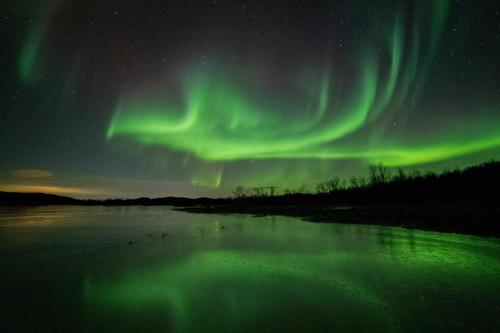 an aurora over a body of water at night at Camp Fjordbotn in Galnslåtta