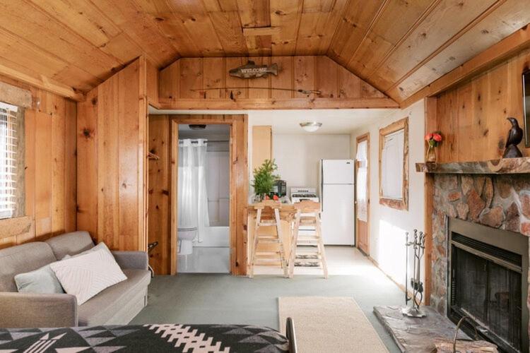 大熊湖的住宿－2405 - Oak Knoll Studio #6 cabin，带沙发和壁炉的客厅