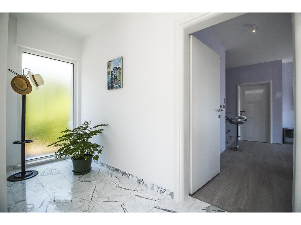 Apartment Splendid Marjan - 9