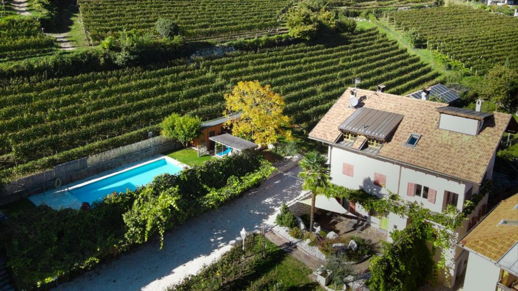 een luchtzicht op een huis met een zwembad en een wijngaard bij Ferienwohnungen Palma in Cortaccia