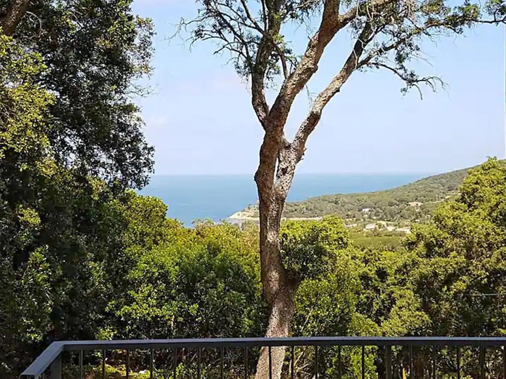 a tree in the middle of trees with the ocean in the background at Villa ai Pini di ArgonautiVacanze in Procchio