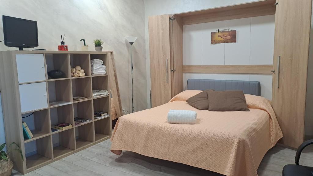 een slaapkamer met een bed en een boekenplank bij Sole&Scudo in Venaria Reale