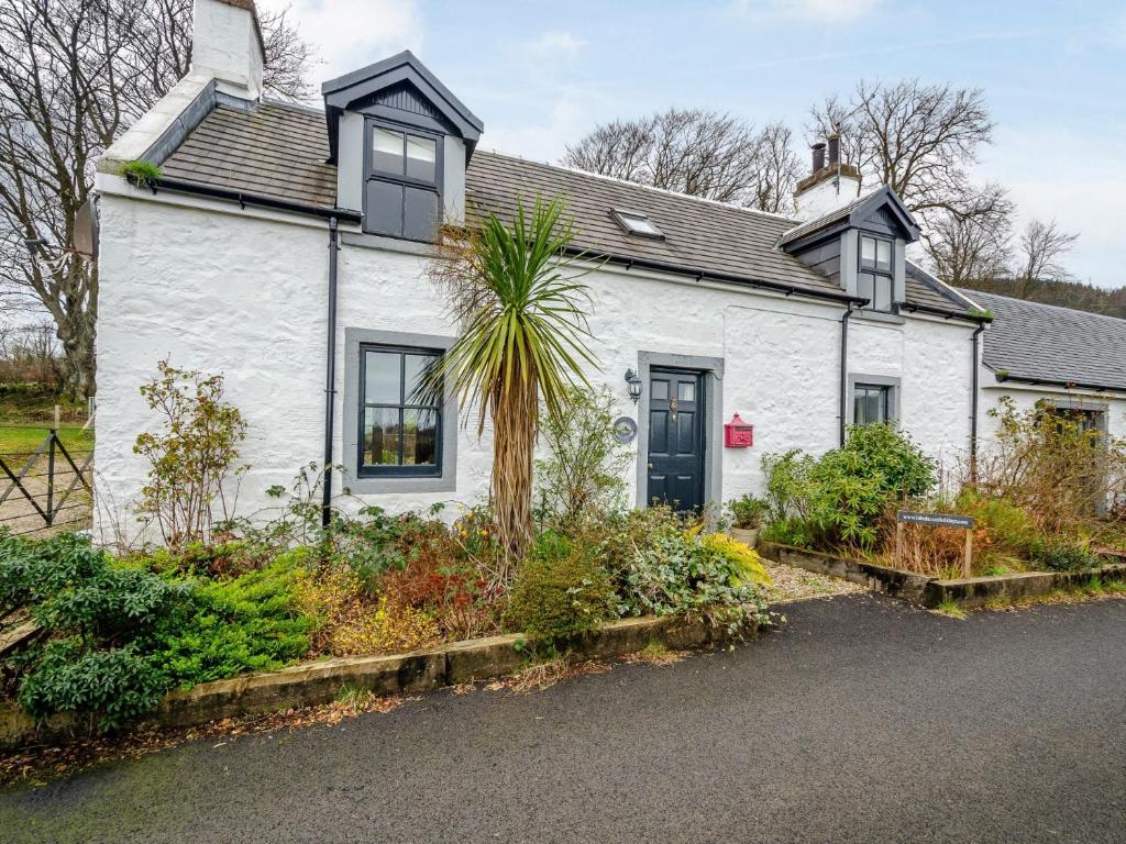 a white house with a palm tree in front of it at 3 Bed in Brodick 77585 in Brodick