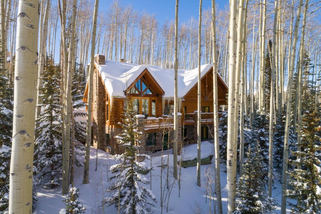 drewniany domek w lesie w śniegu w obiekcie Snowdrift Cabin by AvantStay Breathtaking Home w Prime Ski Access Hot Tub w mieście Telluride