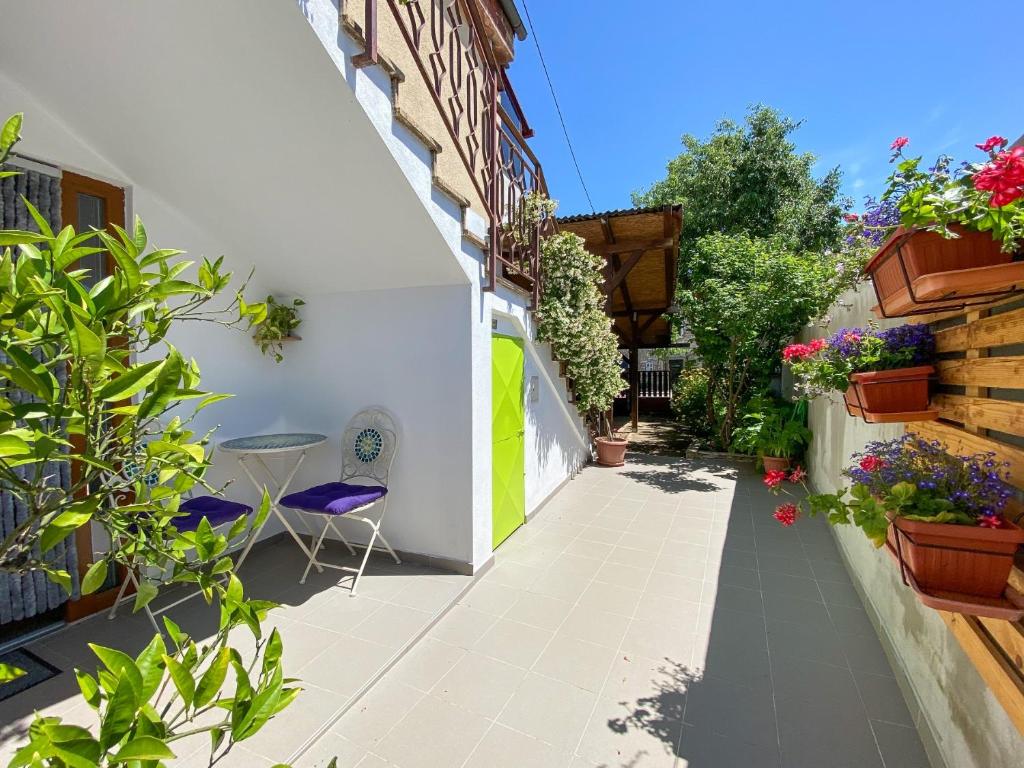 een binnenplaats van een huis met planten en bloemen bij Apartment Tomas in Novigrad Istria