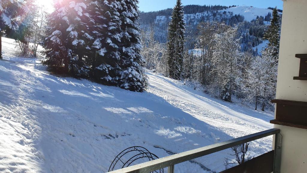 a snow covered slope with trees and the sun in the background at Berghof Appartement 11 in Ellmau