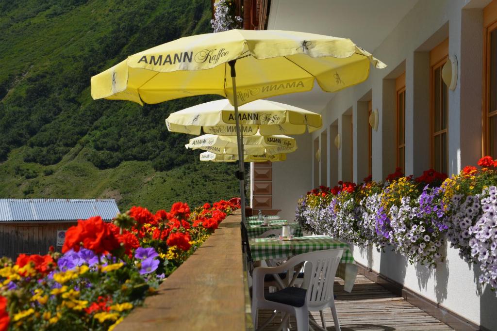 Nespecifikovaný výhled na hory nebo výhled na hory při pohledu z hotelu