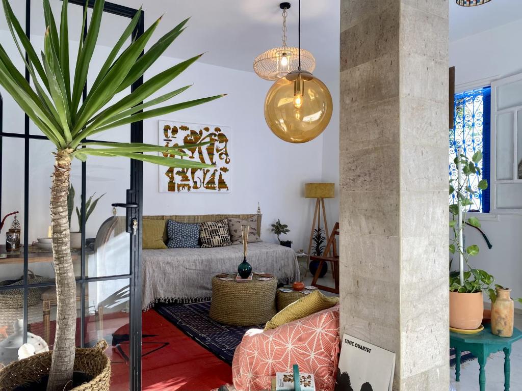 a living room with a couch and a palm tree at Cosy home in Sidi Bou Said in Sidi Bou Saïd