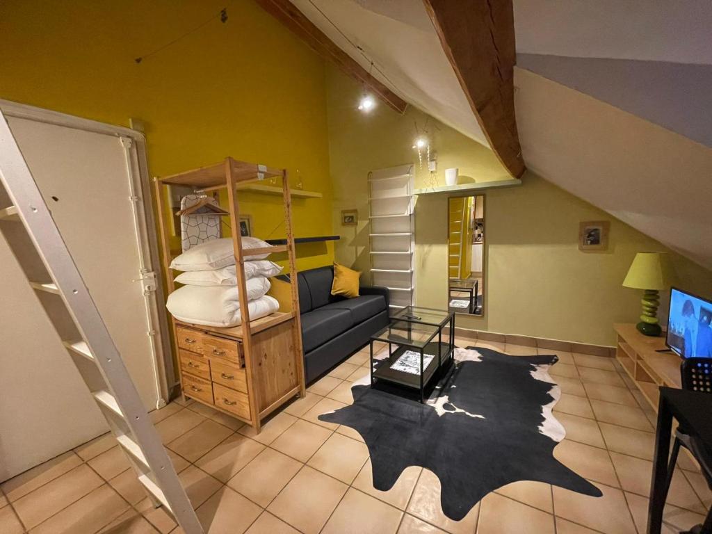een woonkamer met een bed en een bank bij Montmartre Sacré Cœur - Appartement Martyrs in Parijs