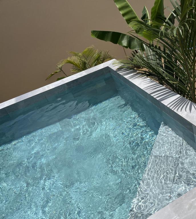Bazén v ubytování L'Empreinte-Oasis de Sérénité au Coeur d'un jardin tropical nebo v jeho okolí