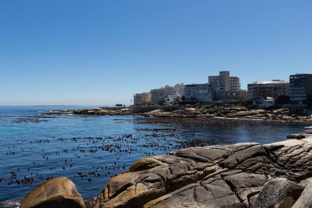 a flock of birds swimming in the water at Modern & Luxurious Seaside Apartment in Cape Town