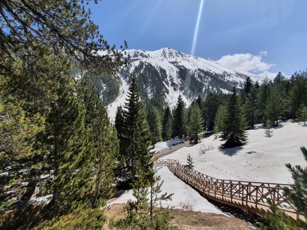 Příroda nedaleko apartmánu