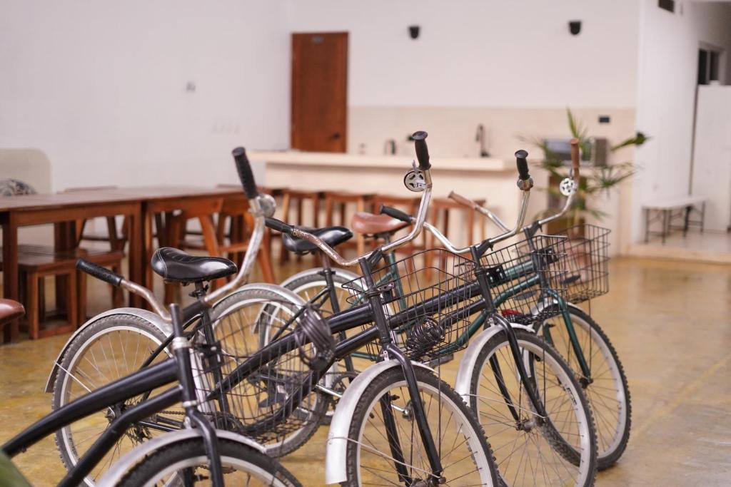 Jízda na kole v ubytování Freelance Hostel nebo okolí