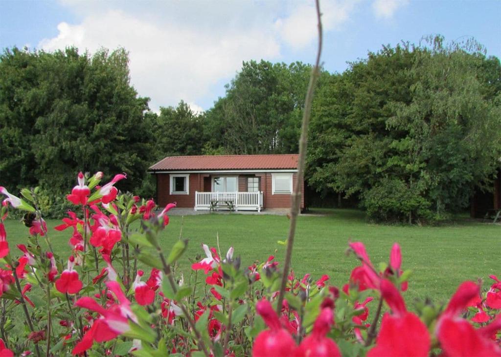 a small house in a field with pink flowers at Spindlewood Lodges in North Wootton