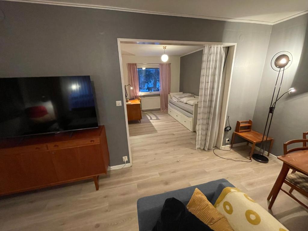 TV a/nebo společenská místnost v ubytování Hestra Guesthouse