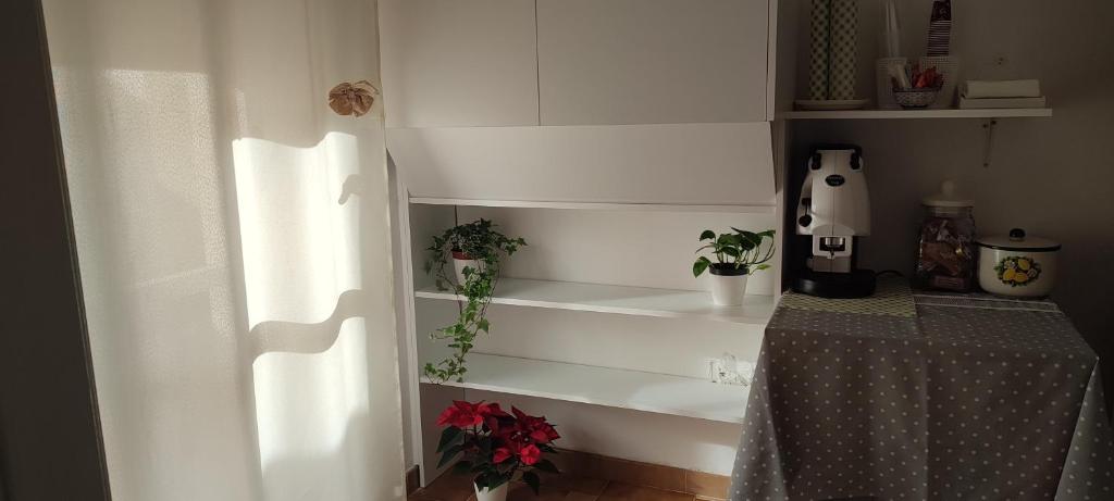 Giardino Massari - 1