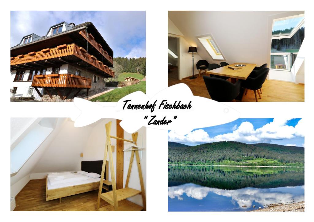 a collage of photos with a house and a lake at Tannenhof Fischbach - Fewo 5 "Zander" - Schluchsee, 2 Schlafzimmer Schlafgalerie, E-Auto Ladestation in Schluchsee