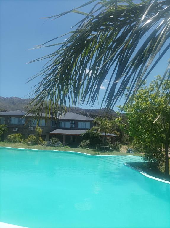 duży basen z palmą nad głową w obiekcie Posada el antiguo refugio w mieście Potrero de los Funes