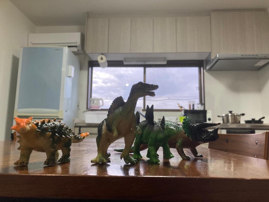 Fotografie z fotogalerie ubytování 11月フルリフォーム 12月オープン恐竜一色ゲストハウスDinosaur Guesthouse v destinaci Katsuyama
