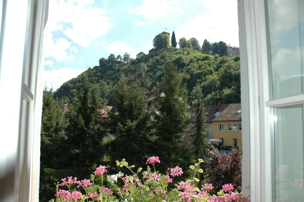 Nespecifikovaný výhled na hory nebo výhled na hory při pohledu z hotelu