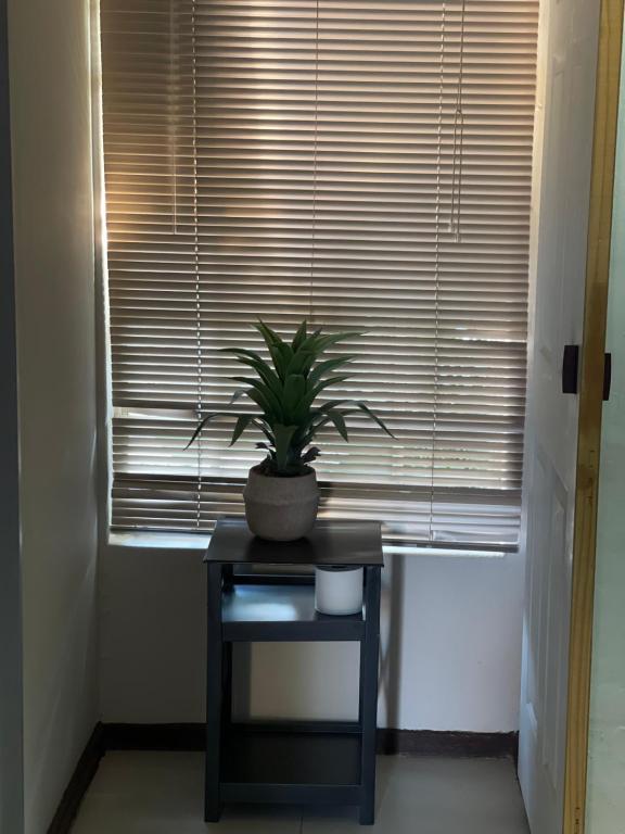 Billede fra billedgalleriet på Kimrose 1 i Kimberley