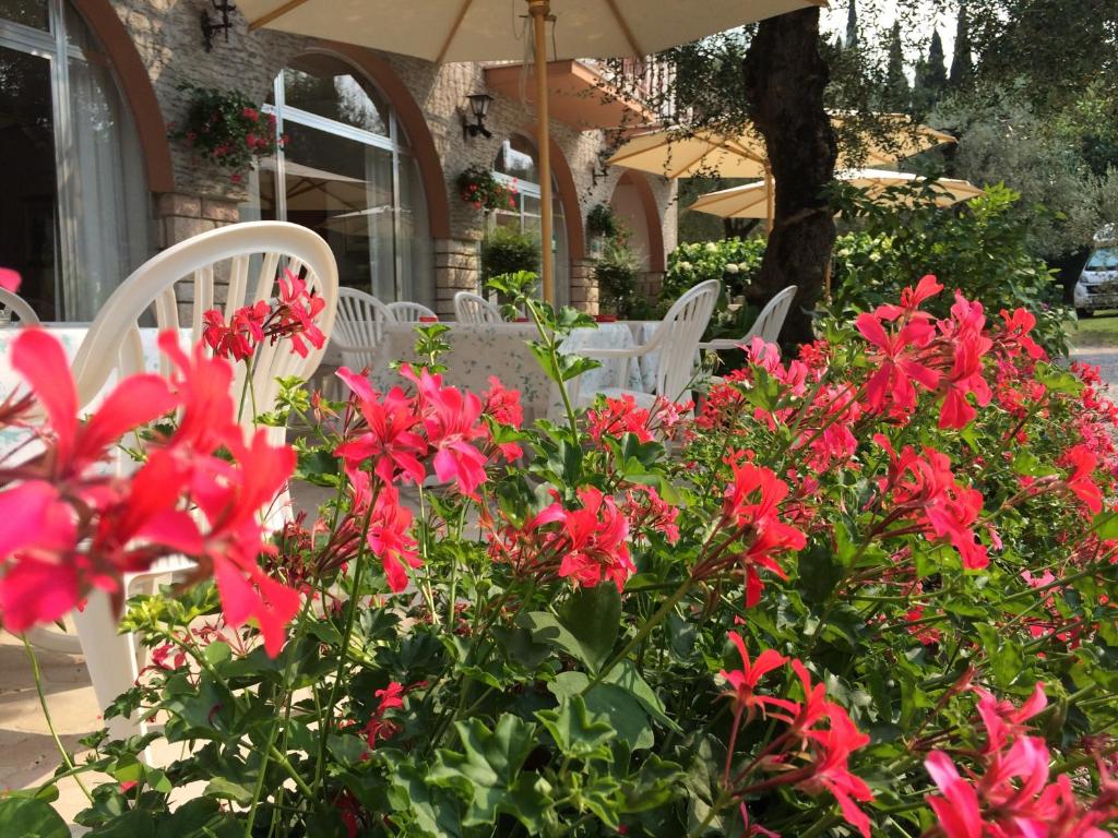 Zahrada ubytování Hotel Zanetti