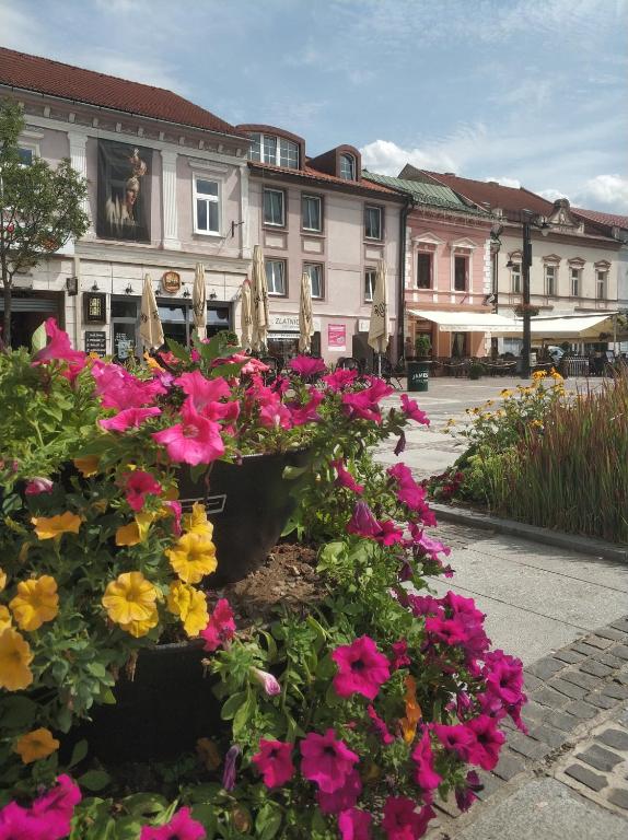 a group of flowers in front of a building at Apartmán Rebeka in Liptovský Mikuláš