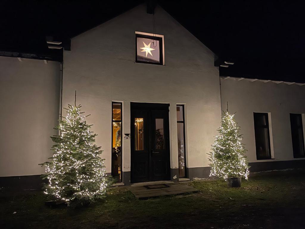 two christmas trees in front of a building with a star at De Horizon in Bullange