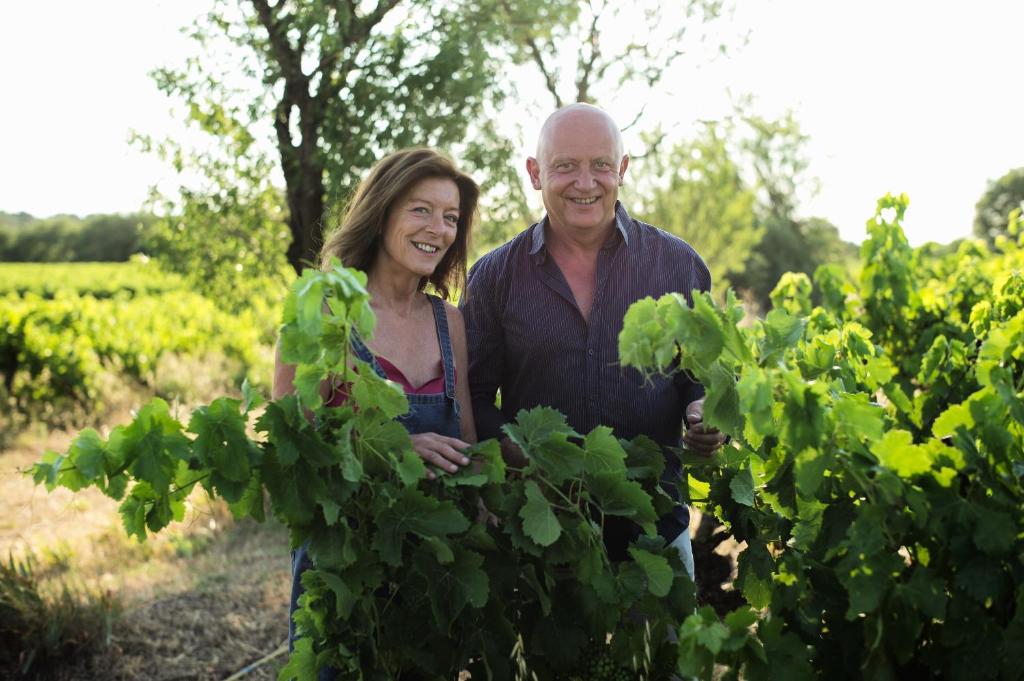 un homme et une femme debout dans un champ de vigne dans l'établissement La Villa Sepia - Piscine privée et chauffée, à Montblanc