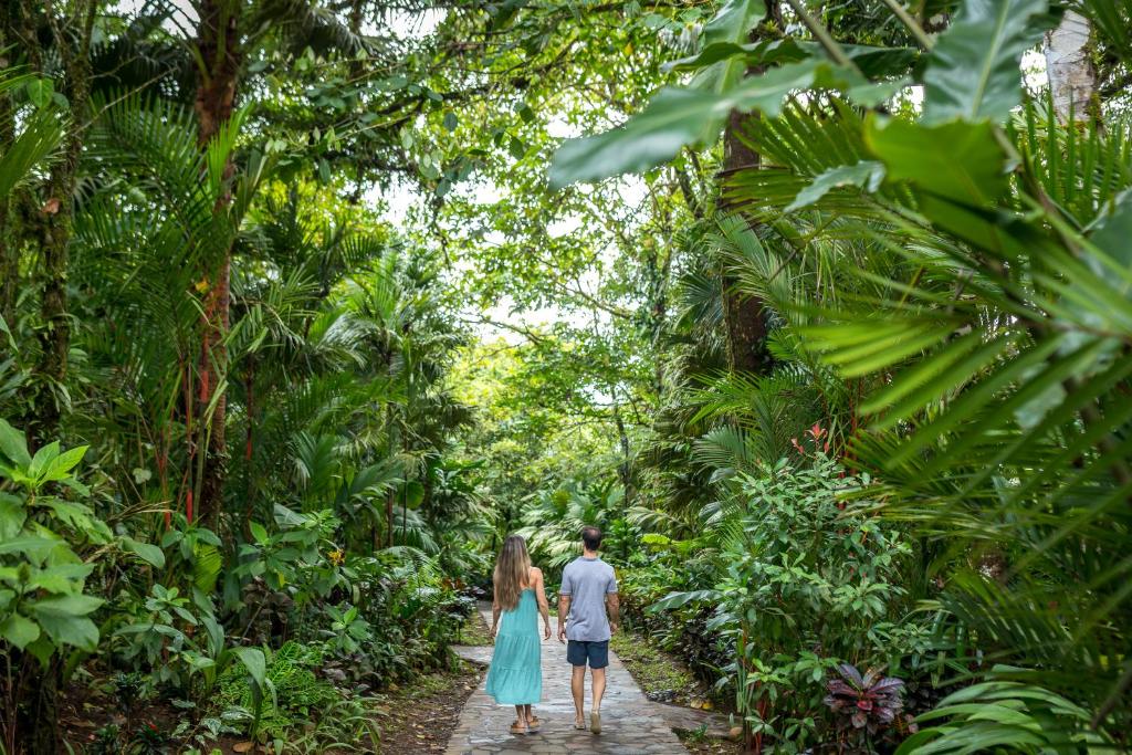 Hosté ubytování Hideaway Rio Celeste Hotel